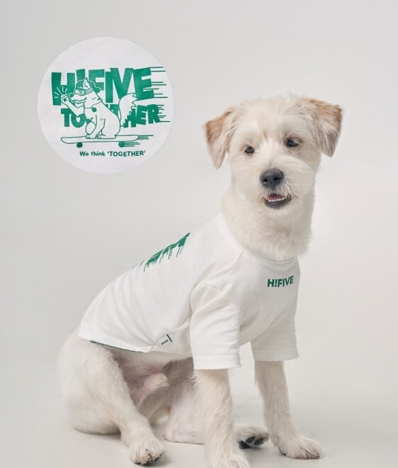 即納【HIFIVE】Together Graphic TShirt (Goggles/White)