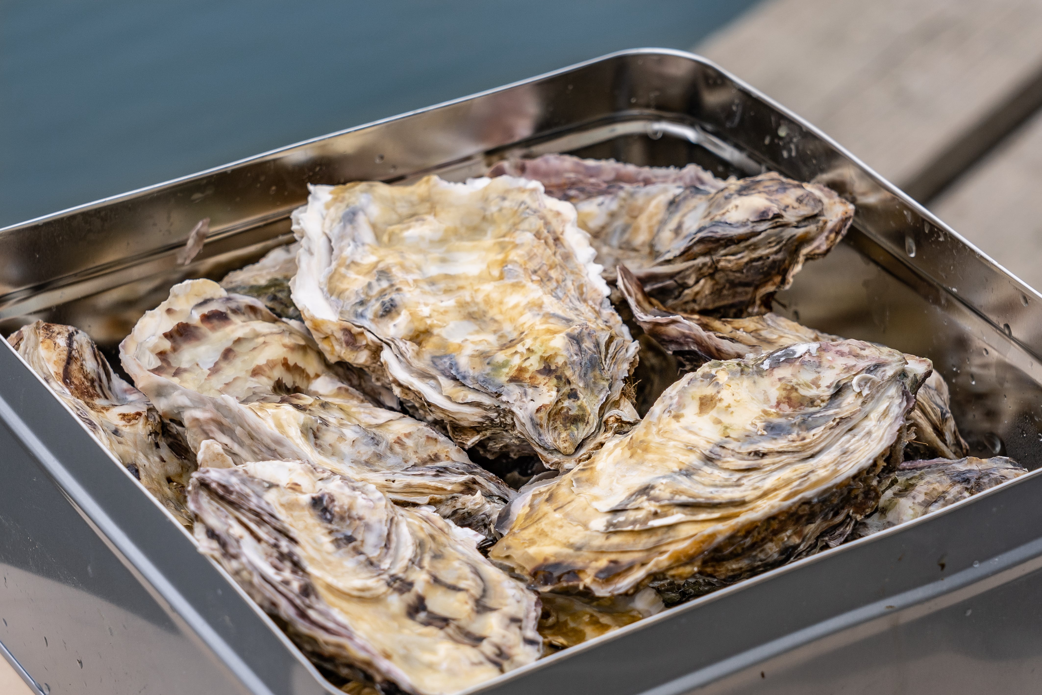 ＜太平丸の一年牡蠣＞かんかん焼きセット：剥き身500g1パック ・殻付き1.3kg（9-13個程度・・季節によって変わります）