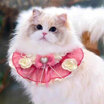 べっ甲猫ヘアクリップ アクセサリー 猫グッズ | PAY ID 