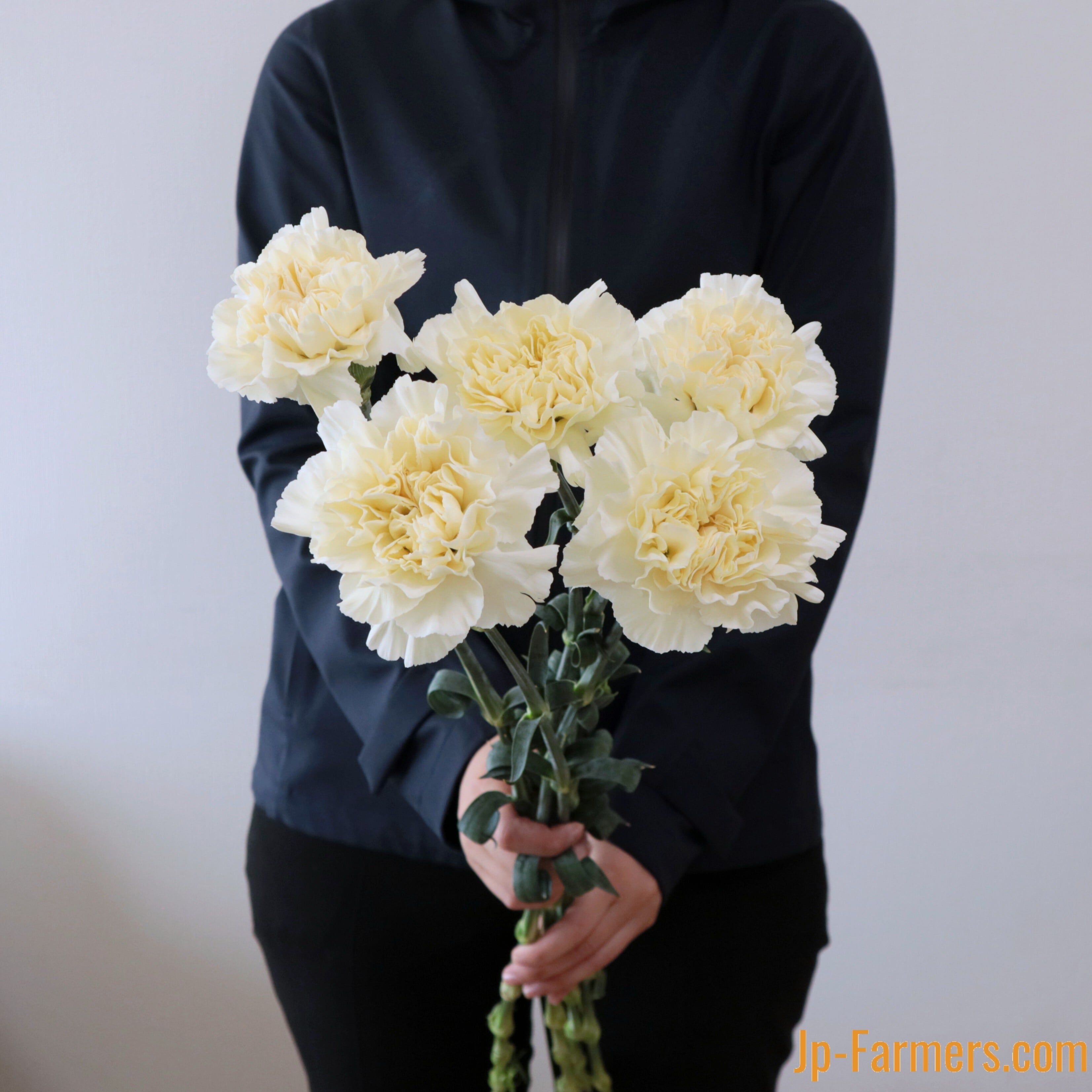 MOTHER'S DAY 大きさに驚き！真鍋さんのカーネーション バニラミナミ