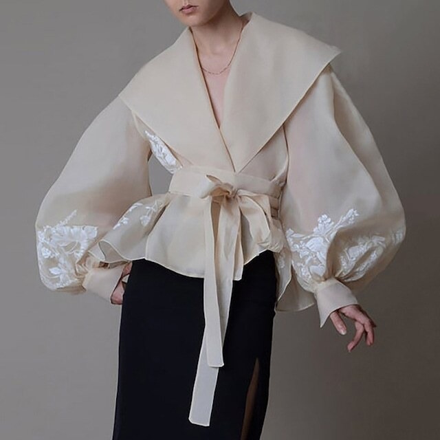 Lantern Sleeve Sheer Tops / ランタンスリーブ シアー トップス