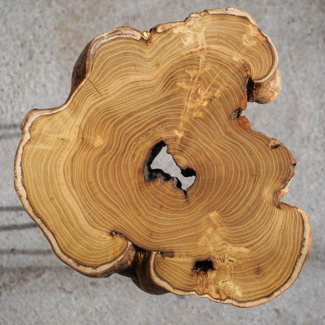 桑の輪切り コーヒーテーブル（高さ・カラー変更無料）