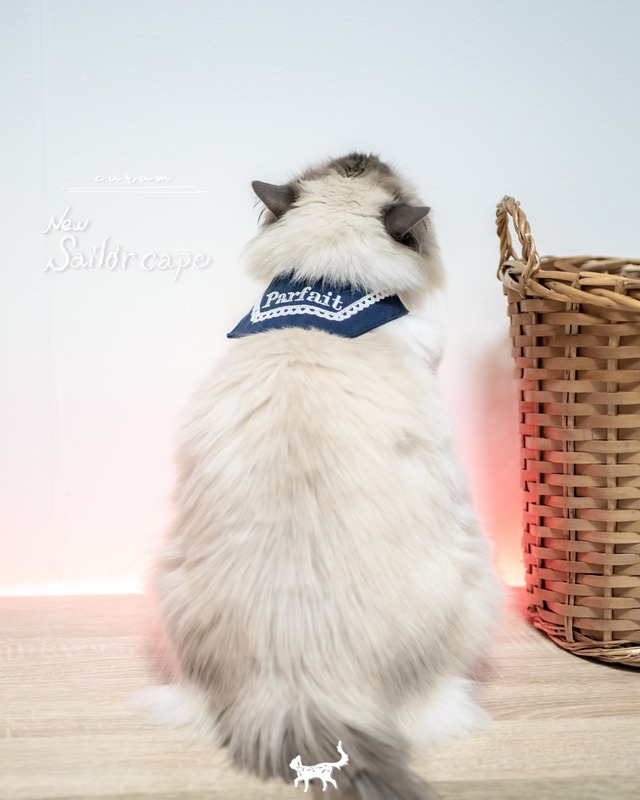 受注制作【curum】New sailor cape -navy-〔お名前item〕