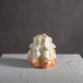 海辺のプロムナード｜メディテラネ｜Mini（ミニ）