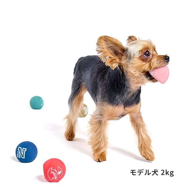 ラテックスカラーボウル