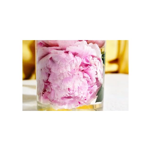 SHIRO PEONY BLISS オードパルファン(100ml) Amazon | SHIRO PERFUME PEONY BLISS オードパルファン 100mL 香水