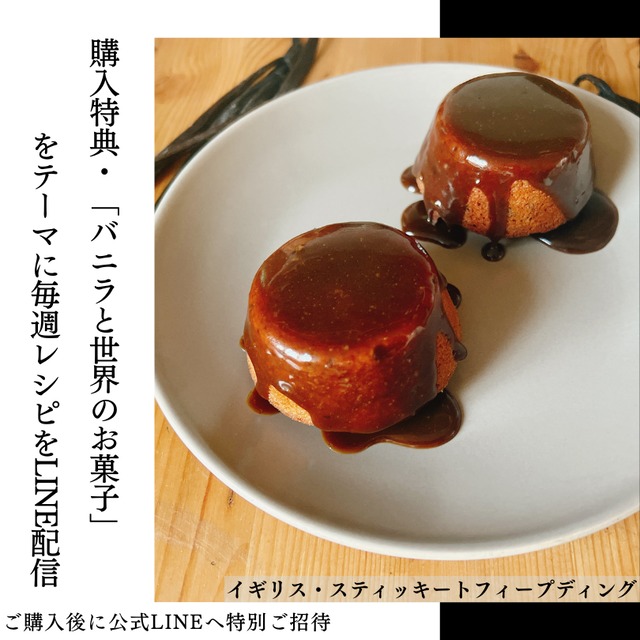 【本数多いほど1本価格がお得！】【タヒチ種・最上位グレード・バニラビーンズ・20本】