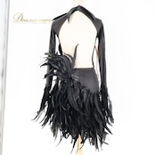 社交ダンス 衣装 ラテン ドレス ワンピース 黒 羽 デモ 競技 ダンス パーティ 発表会 襟 目立つ 個性的 特徴的 細身 ブラック系 コスチューム 豪華 レディース おしゃれ 目を引く 魅力的 派手