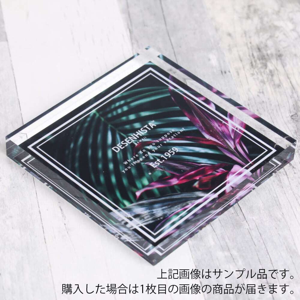 コートサイド・ゴリラ キャラクターアートパネル ポスター 607mm