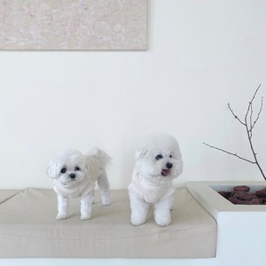 【即納】EYOU ワッフル ハイネック ベスト｜ホワイト