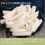 【家庭用】ねばりっこ とりたて 5kg程度 長芋 とろろ ねばり 山芋 バラ