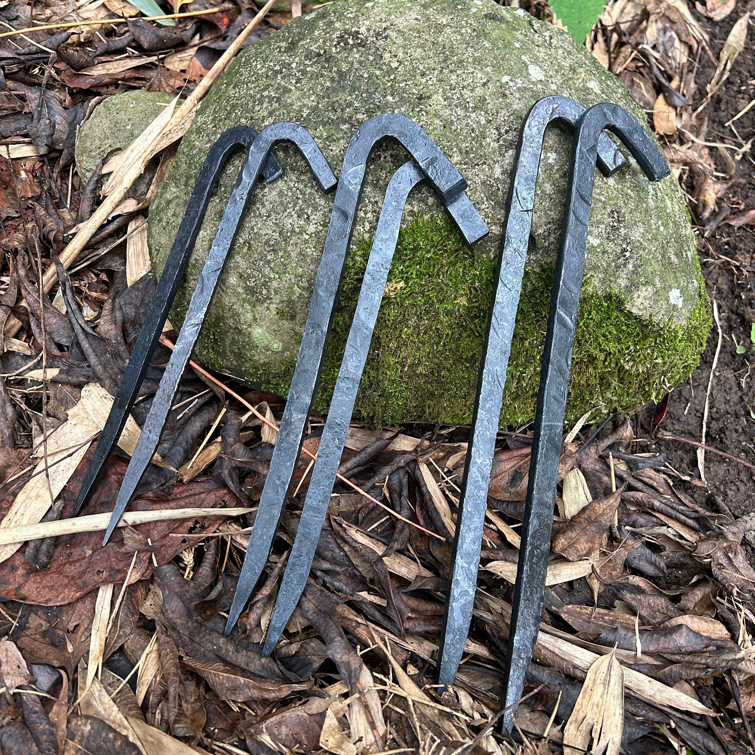 MOMIDORI ヘッド付きチタンペグ 夜光固定ロープ付き40cm 8本セット