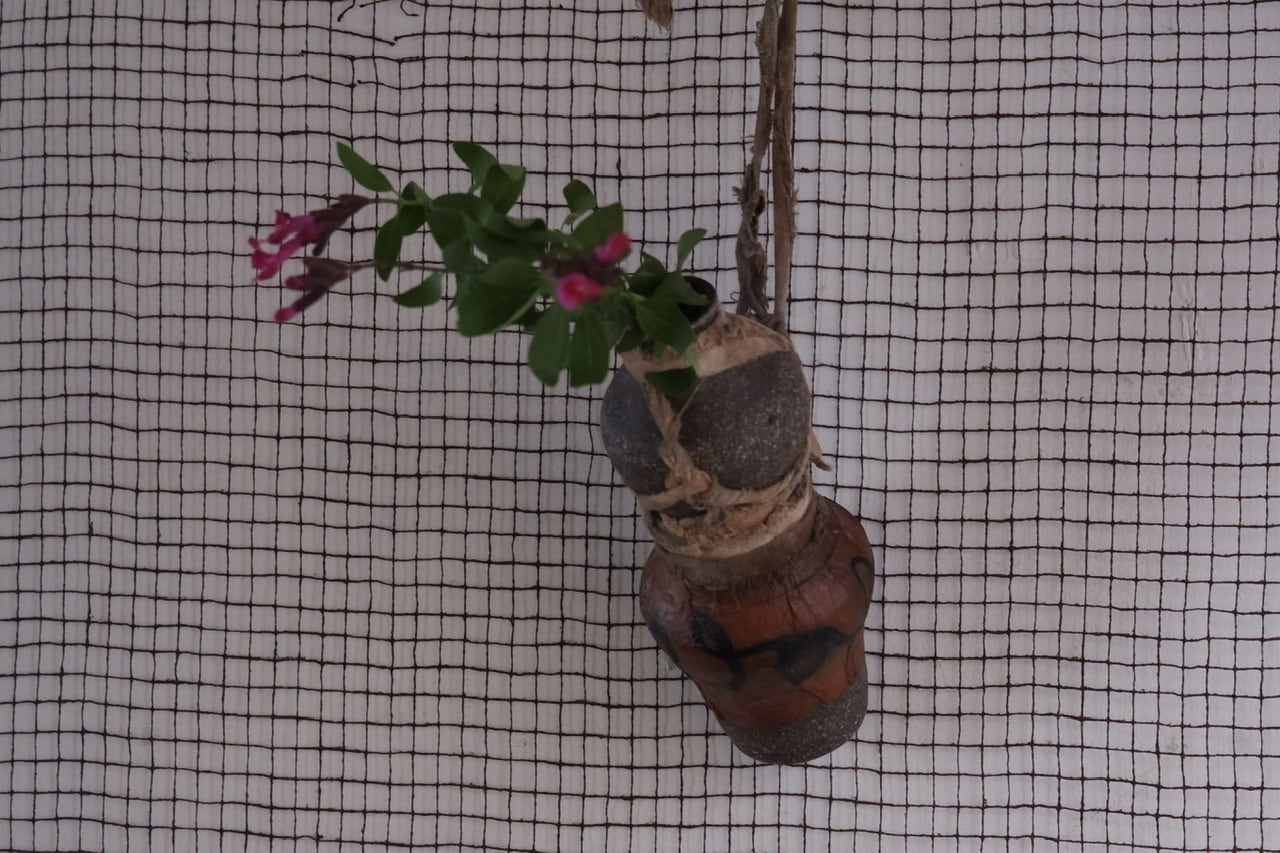 菊地亨 （陶） | Parque