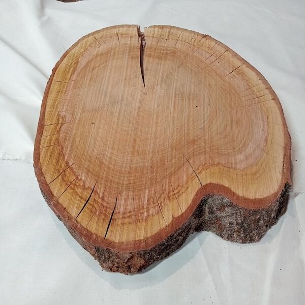 さくら・輪切り・素材 | 一枚板・無垢板の専門店 天板太郎オンライン