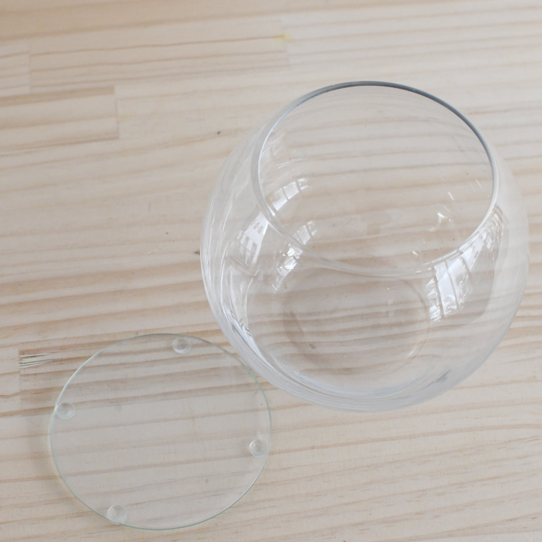 ガラス容器】インテリアボールL（口径100xh115mm） ◇適度な通気で