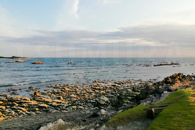 逗子葉山の海010