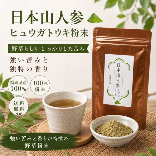 日本山人参 ヒュウガトウキ粉末 50g｜福岡県産・農薬不使用・100％
