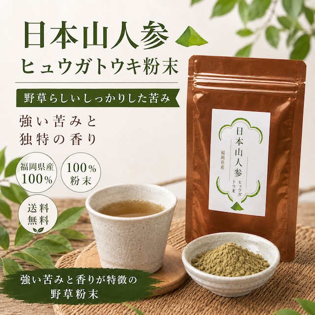 【毎月定期便】日本山人参茶 「ヒュウガトウキ」ティーバッグタイプ 30パック