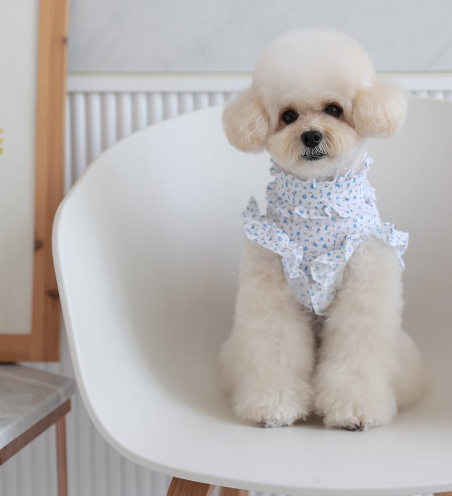 luv flower frill blouses S ~ XL 2color / ドッグウェア 犬服 フリル袖 ブラウス 袖なし 可愛い 犬の服 春夏 新作 花柄 シャツ おしゃれ top160