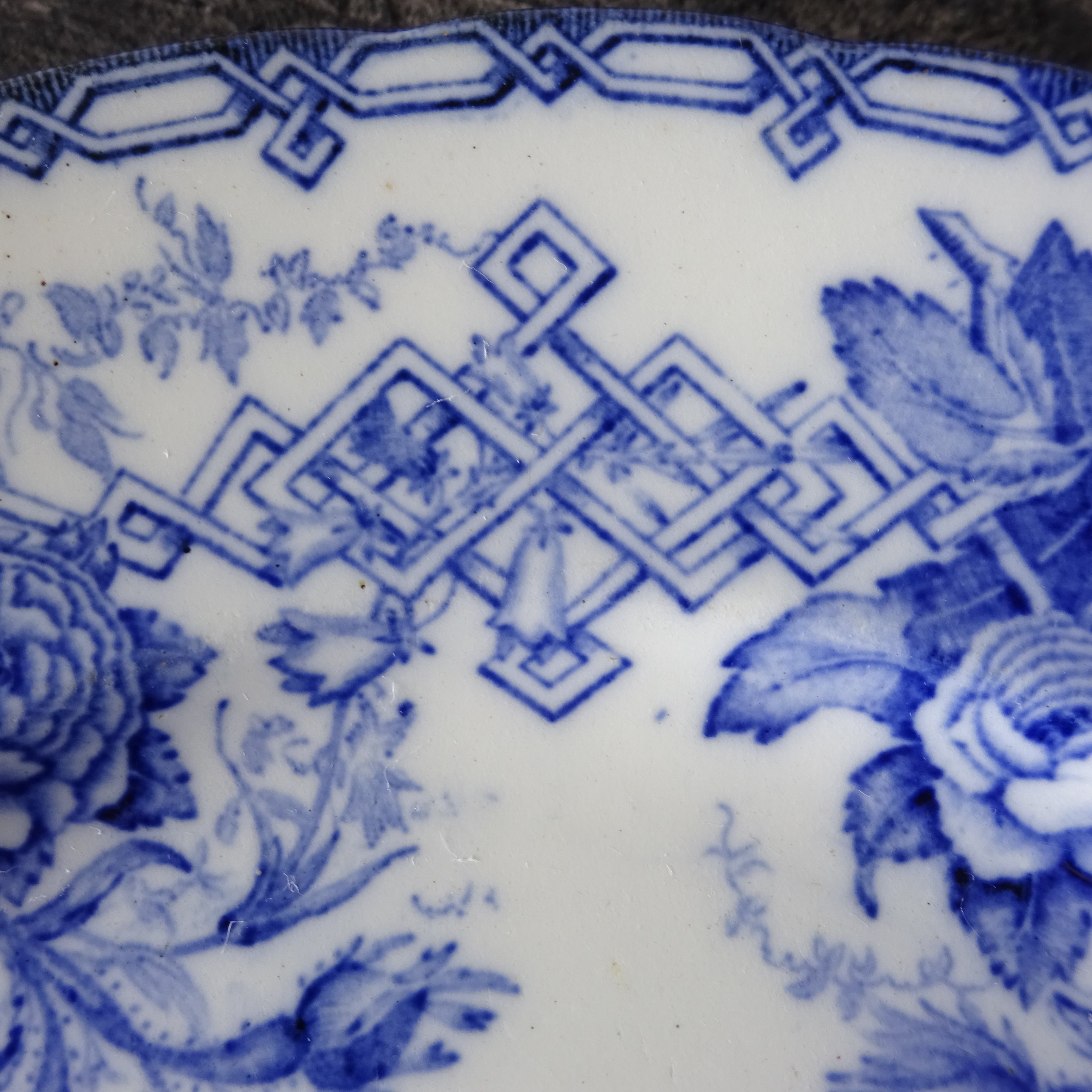 Creil et Montereau  modèle 《FLORA T.》décor Roses assiette plate (B)