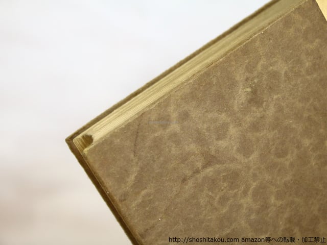 痴人の愛 初版 / 谷崎潤一郎 [35424][並] | 書肆田高