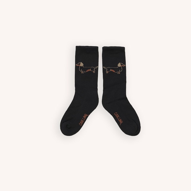 CarlijnQ / Dachshund - sport socks