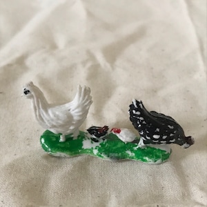 白と黒のニワトリたち