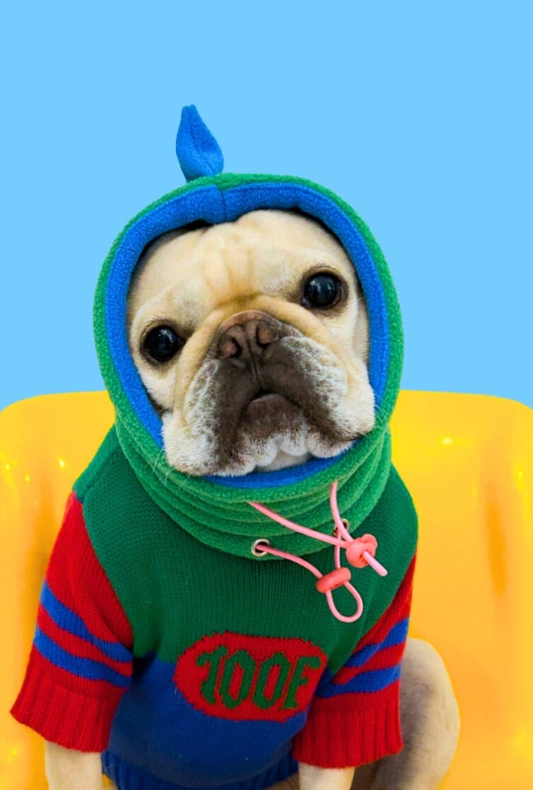 即納【TOOF】DINO SNOOD (Green)