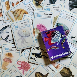 カードゲーム「海の動物たち」