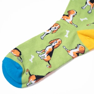 Beagle Socks ビーグル ソックス