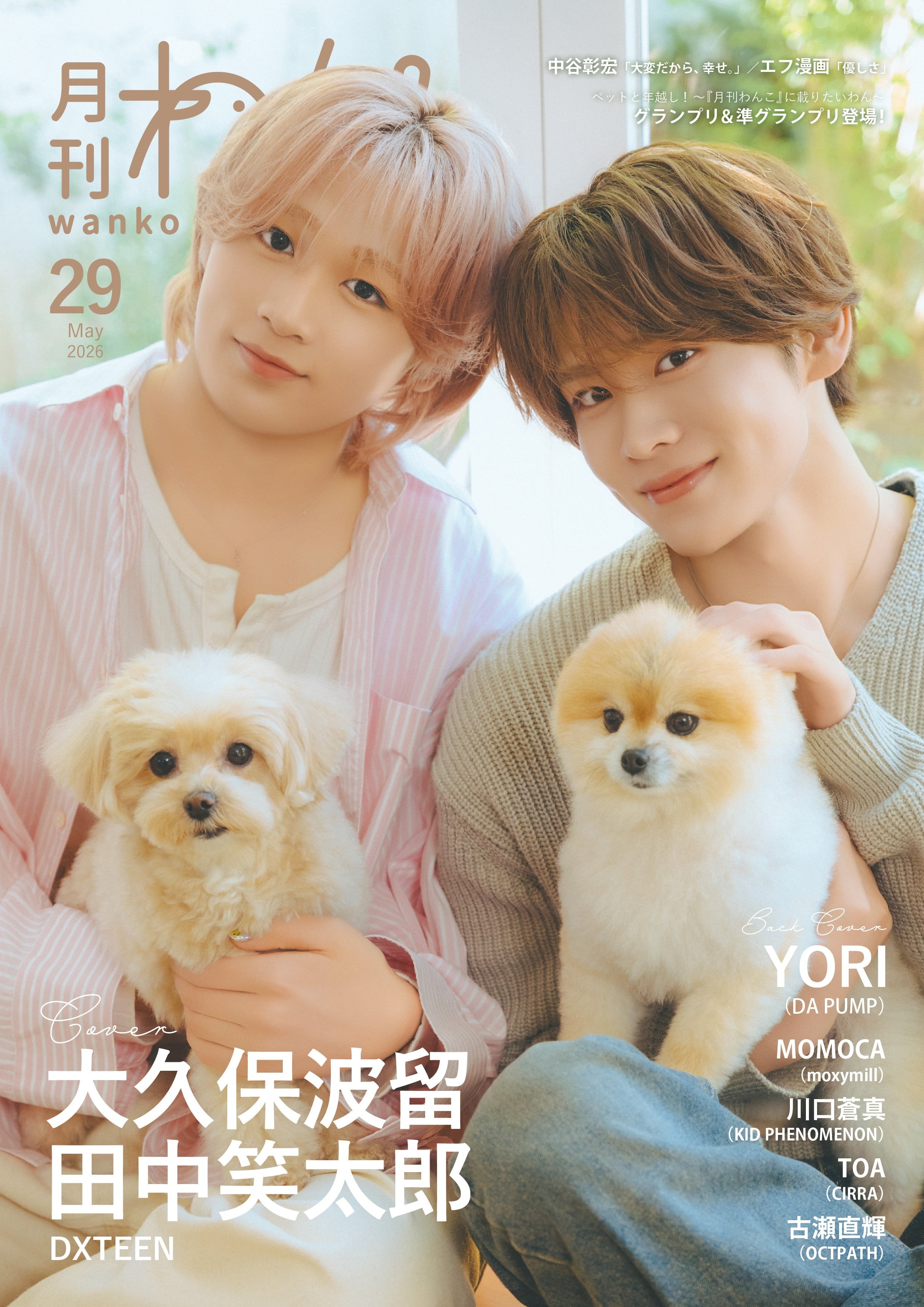 【タグ付き】 Amore Dog 犬 ぽってり 可愛い 入手困難 Jellycat Amore Dog AM2D アモーレ ドック 犬の縫いぐるみ を通販 | ETOFFE