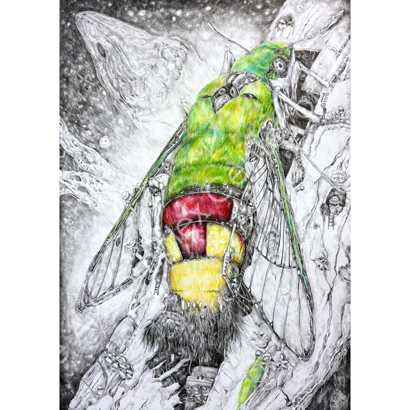 金澤洋輝「幽蛾灯」