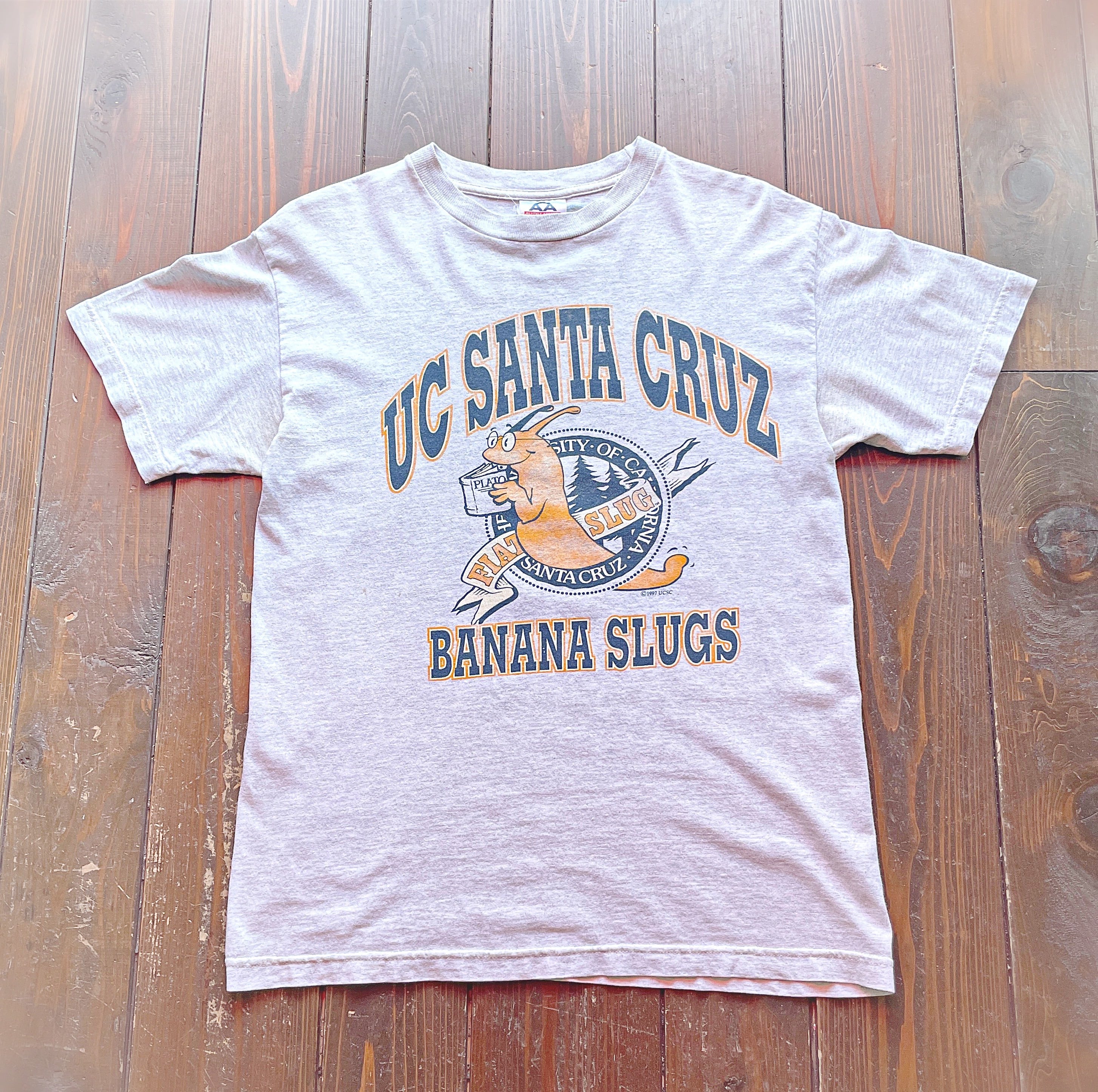 90s UC SANTA CRUZ BANANA SLUGS print T-Shirt 〈Body〉Athletic apparel |  Rassic powered by BASE