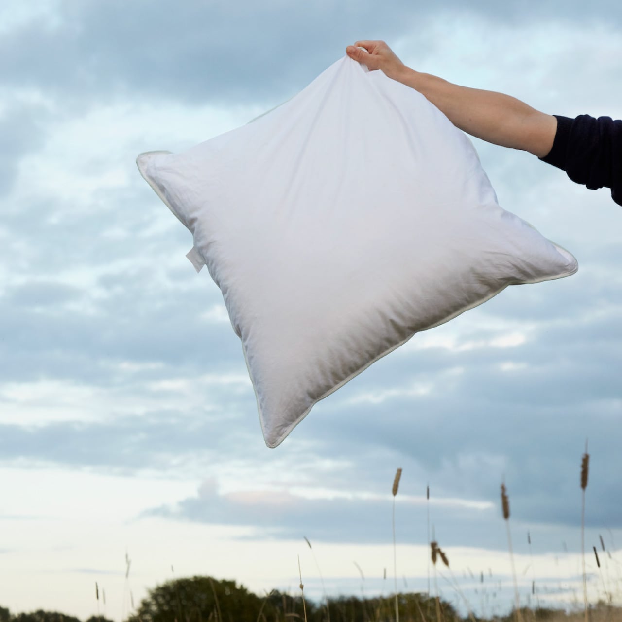 ノルディック スリープ ピロー ミディアムロー / 43×63cm / NORDIC