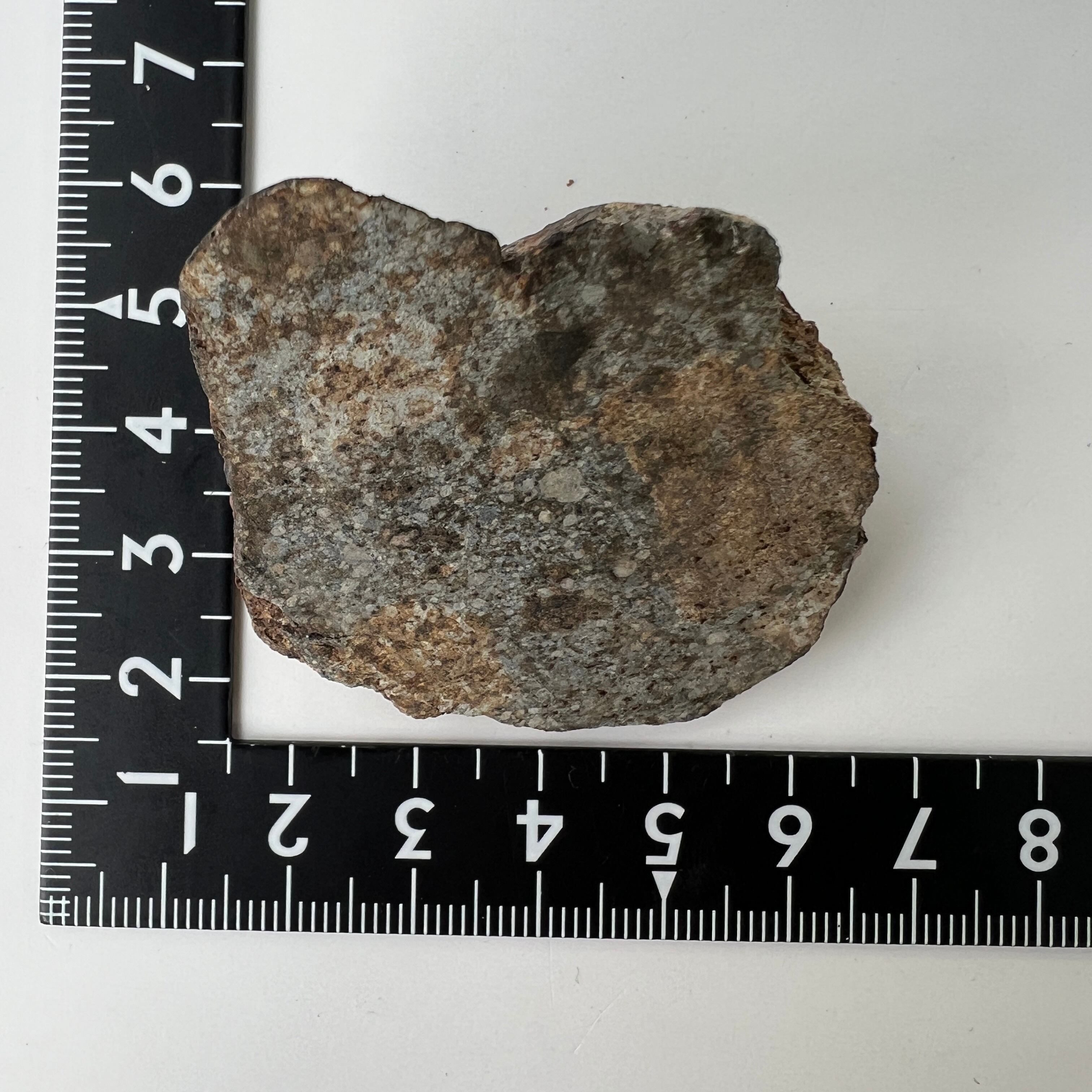 メテオライト　隕石セット　ギベオン　カンポ・デル・シエロ　コンドライト