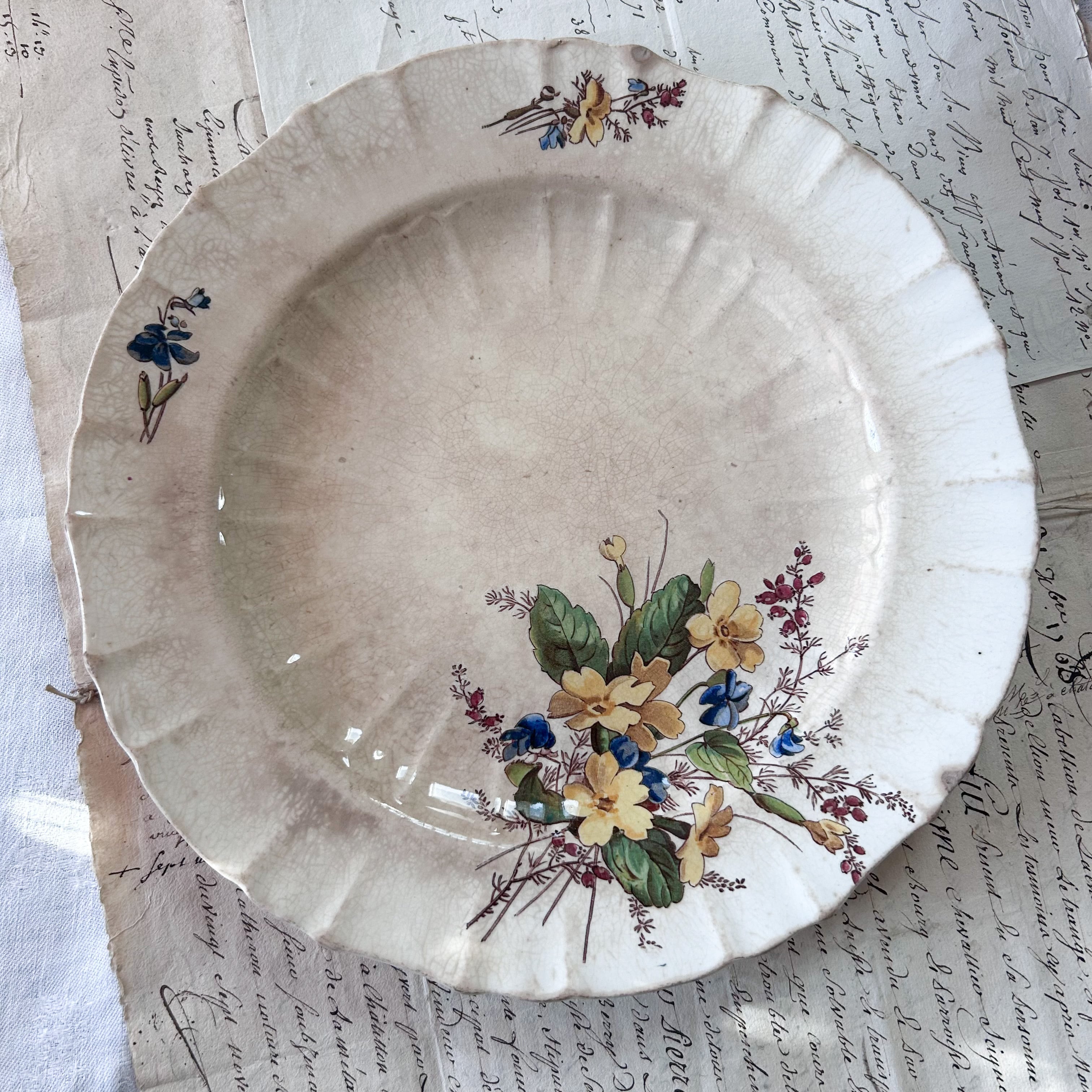 枯れた味わいの葡萄のラヴィエ 枯れた味わいの葡萄のラヴィエ C 枯れた味わいの葡萄のラヴィエ 枯れた味わいの葡萄のラヴィエ C