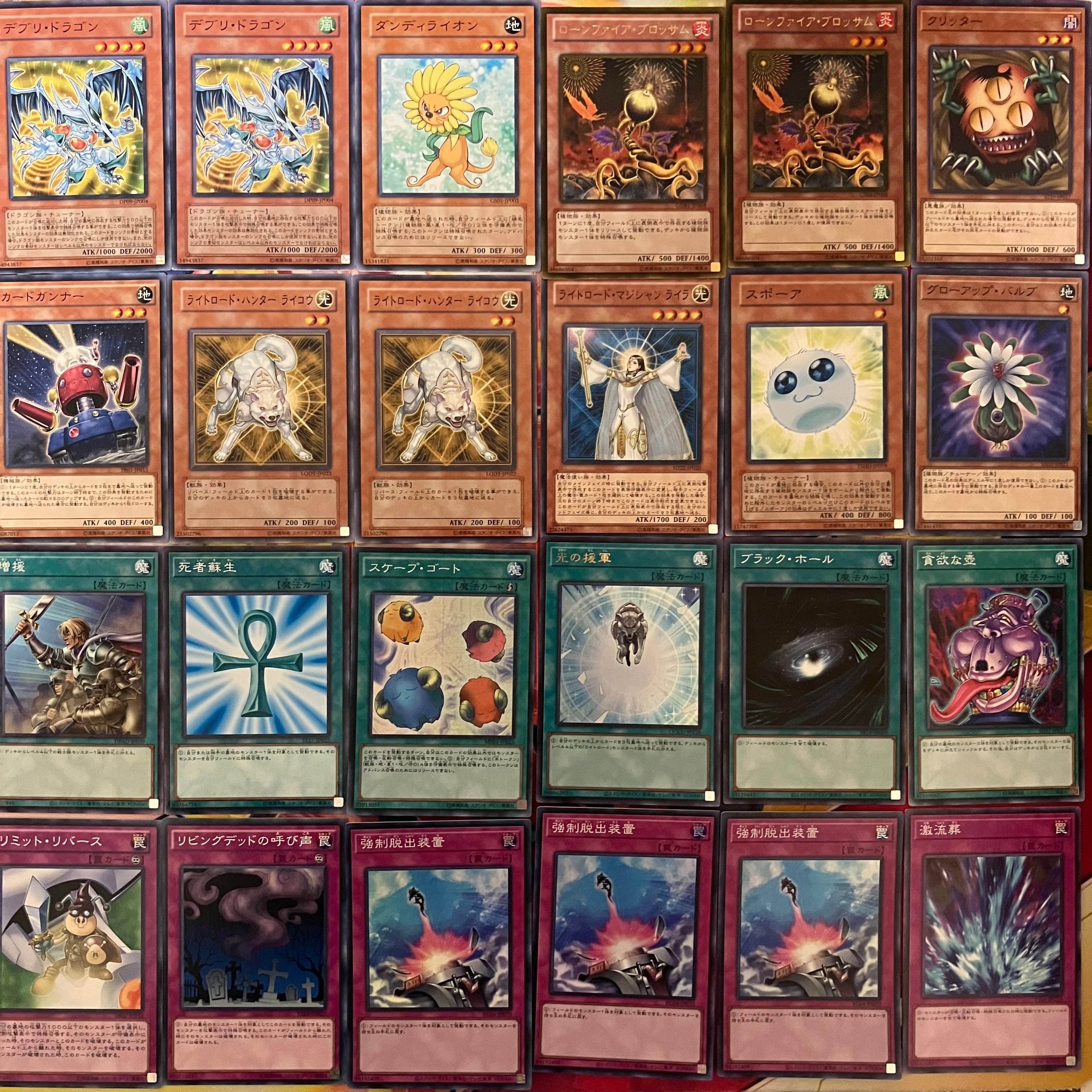 1103環境 デブリダンディ ジャンド デッキ 遊戯王 ゲートボール a 1103環境 デブリダンディ ジャンド デッキ 遊戯王 ゲートボール | PAY ID