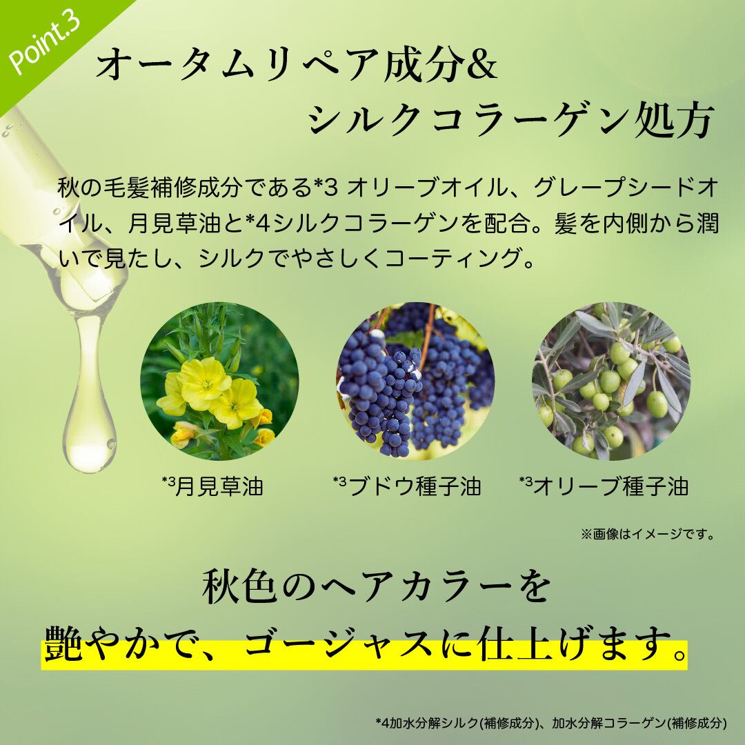 KYOGOKU パーソナルカラーシャンプーオリーブアッシュ イエベ秋 200ml