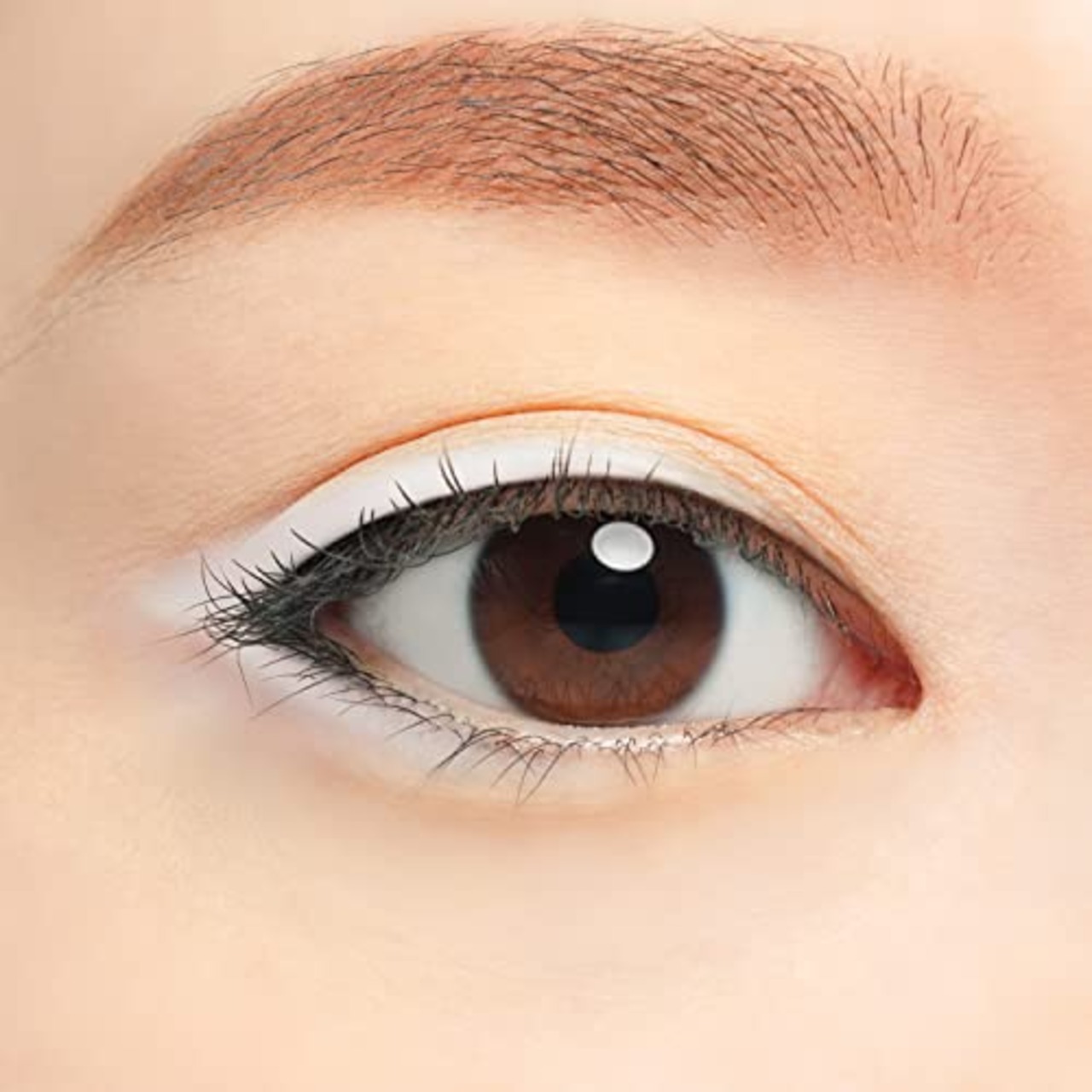 Chacott チャコット マルチカラーバリエーション マット MA23