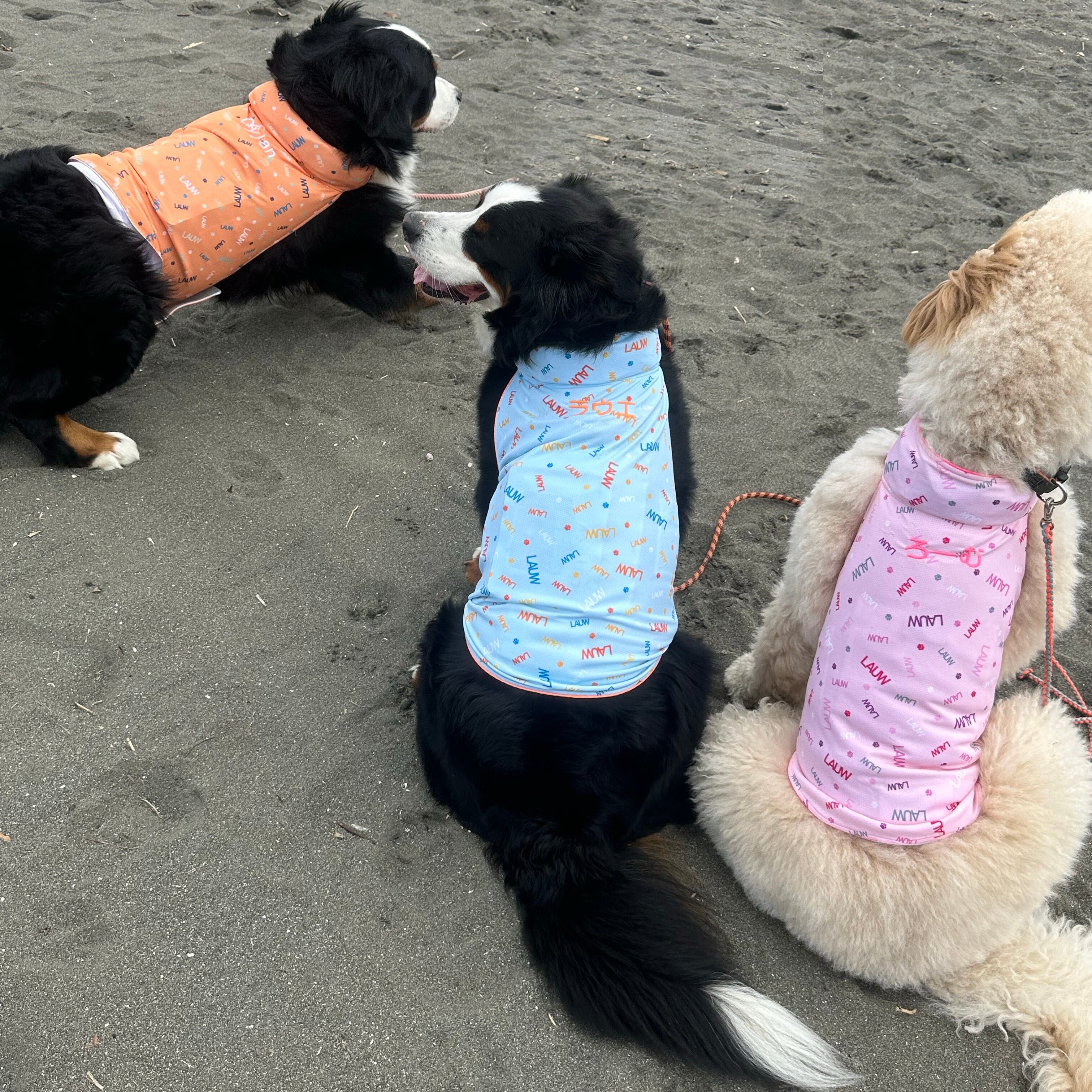 専用　クール犬服　大型犬 クールDOGウエア XXLサイズ 超大型犬サイズ | LAUW（ラウー）