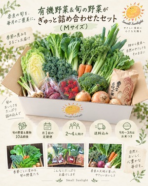 旬の野菜＆果物10品｜月1回定期便Mセット（2～4人向け）【送料込み】
