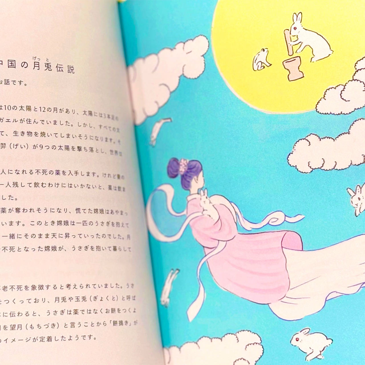 うさぎっしり事典