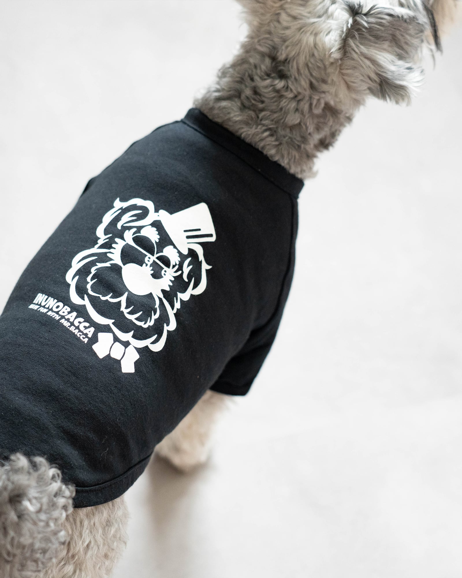 犬服　ribbonbon୨୧　ハンドメイド 犬服 Tシャツ 「Mr.BACCA」 typeA ｜inunobacca | Inunobacca