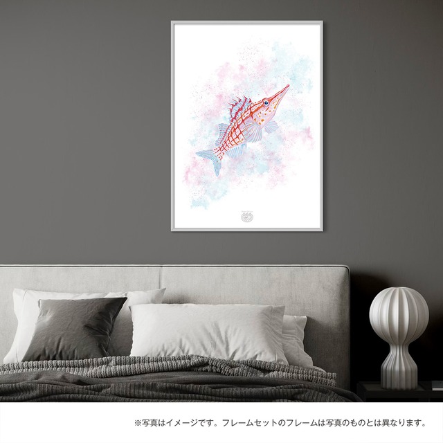 【海のいきものアートポスター／魚】クダゴンベ