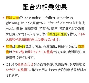 銀蘭方龍神参