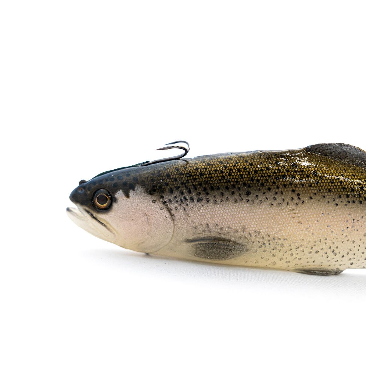 カオスベイト カオストラウト 9.5 ライトトラウト Chaos Bait / Chaos Trout 9.5 #Dark Trout | modeB Trading