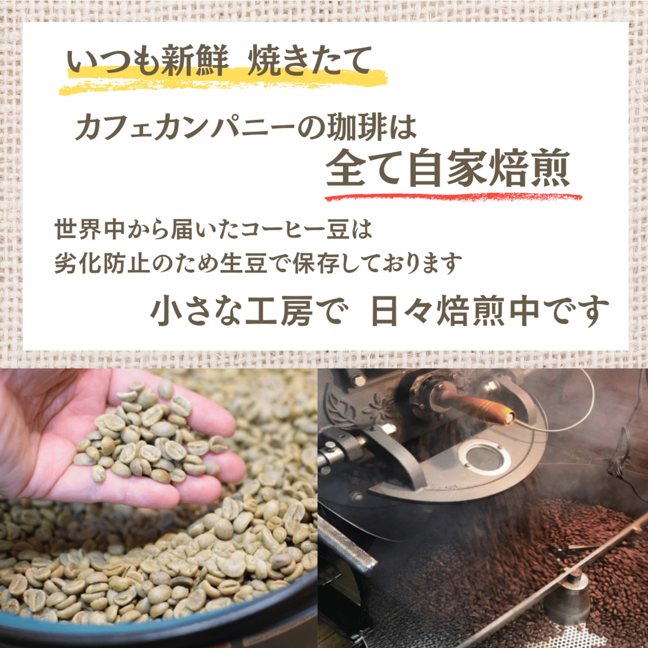 送料無料 コーヒー豆 お楽しみセット 200g（100g×2袋）自家焙煎