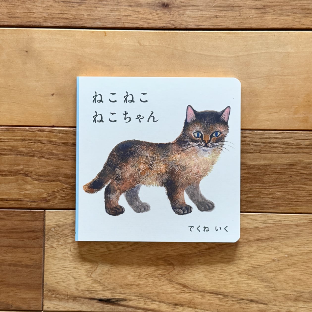 ねこ ねこ ねこちゃん | でくね いく | 尾鷲市九鬼町 漁村の本屋
