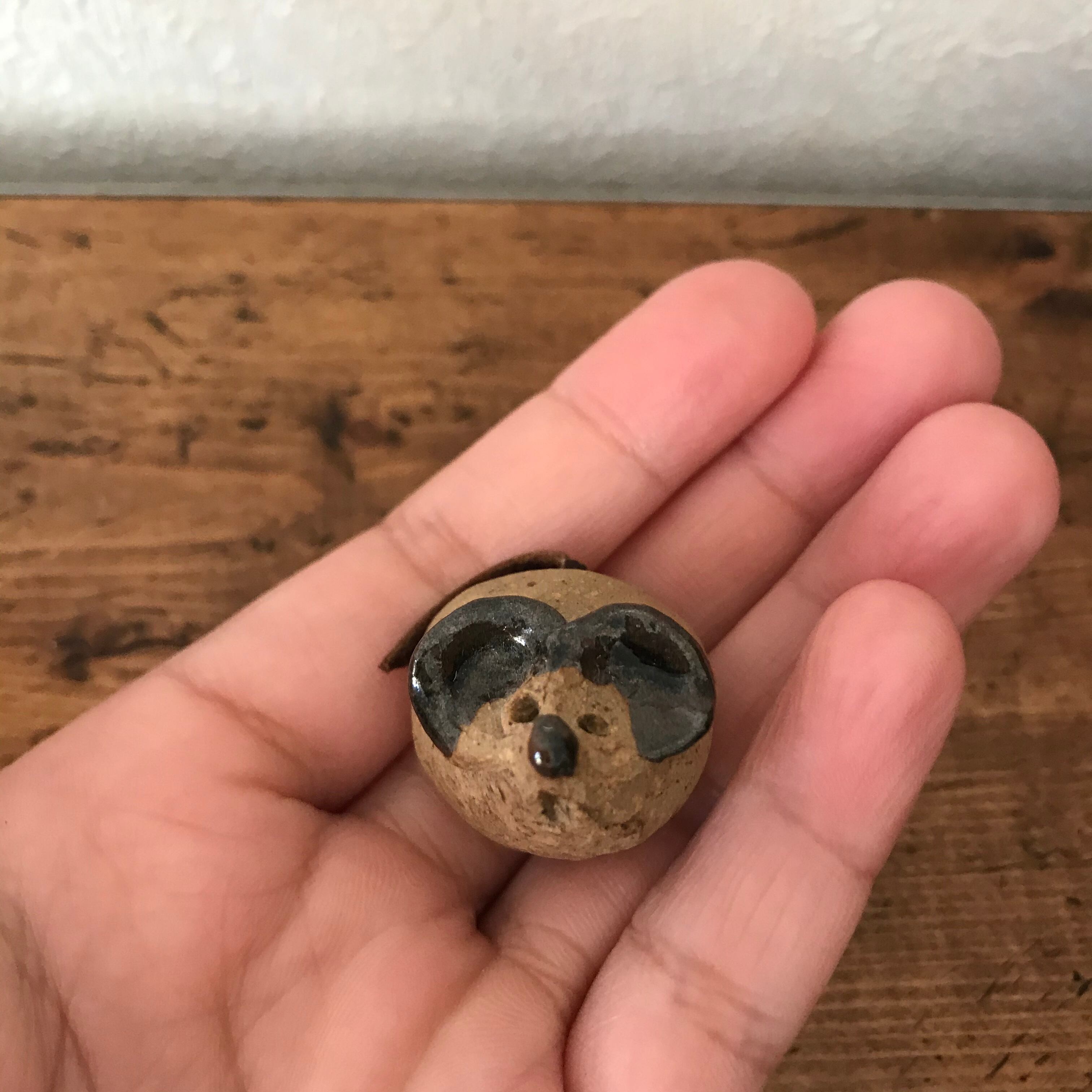 見上げるねずみ