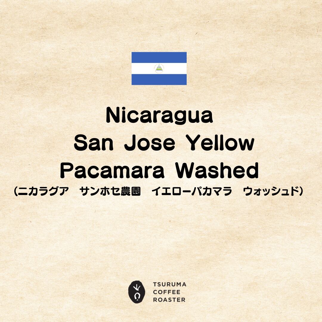 Nicaragua San Jose Yellow Pacamara Washed 100g(ニカラグア サンホセ農園 イエローパカマラ ウォッシュド)